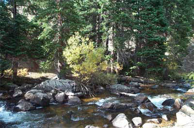 030-Stream at Bear Lake